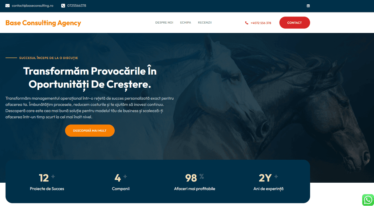 Base Consulting 0df5935b52